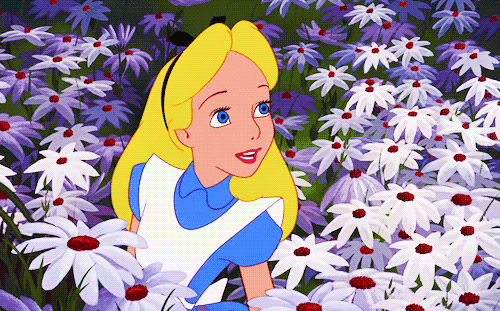 Alice in Wonderland Cartoon Falling | Alice In Wonderland , 1951 | Alice im wunderland zeichentrick, Alice im wunderland cartoon, Alice im wunderland