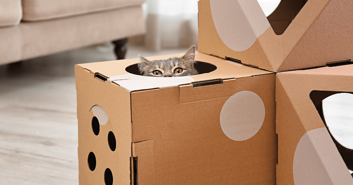 Cat peeking out of hole cut in the top of cardboard box