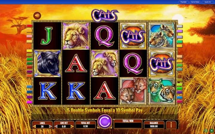 IGT cats slot game