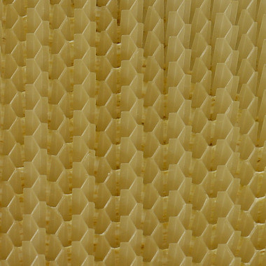 Why aren't my bees filling the Flow Frames?