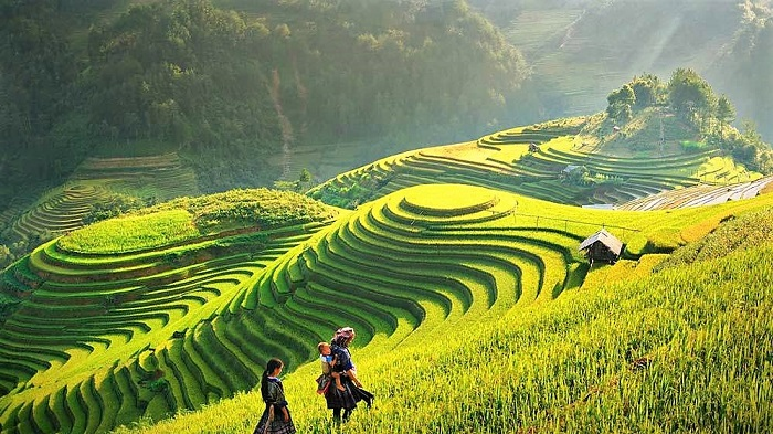 Top 10 Most Beautiful Rice Paddies In Vietnam Top 10 Most Beautiful ...