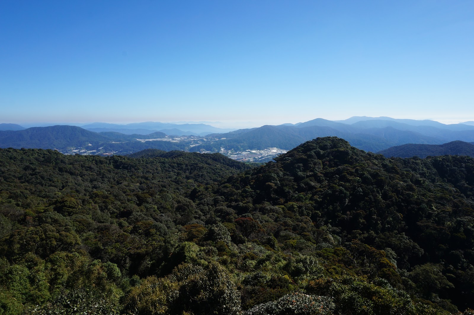 DSC07825.JPG