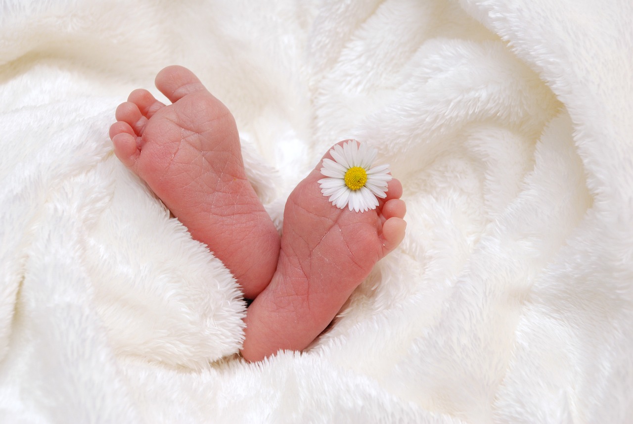 赤ちゃん　花　小さい　足　毛布
