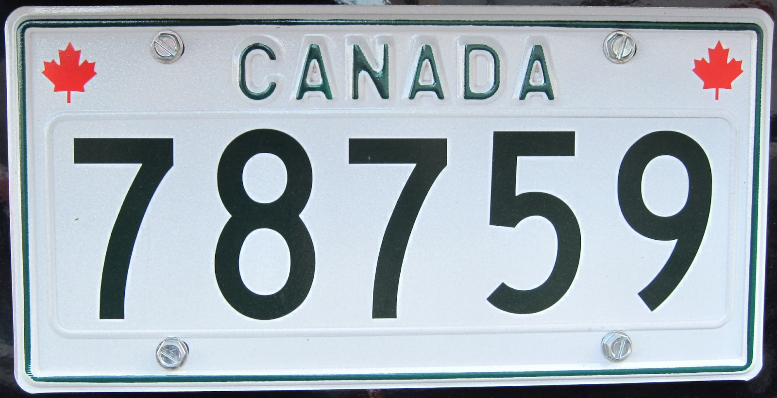 Can a Tourist Buy a Car in Canada (+Steps on how to do it?) 