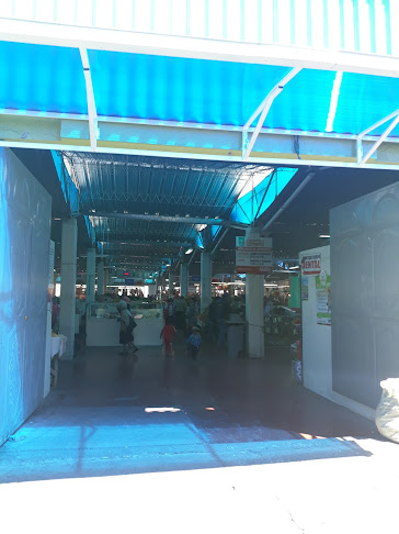 Distribuidora De Yolanda Analusia - Quito
