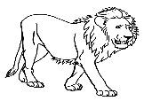 León salvaje para pintar HD | DibujosWiki.com