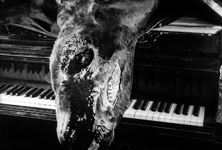 Dead Donkey On Piano Film An Andalusian Dog Un Chien Andalou (KURZFILM) Un  Chien Andalou, Fr 1929, Al