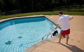 Image result for How to keep the pool of a house clean without running the pump and filter in the pool