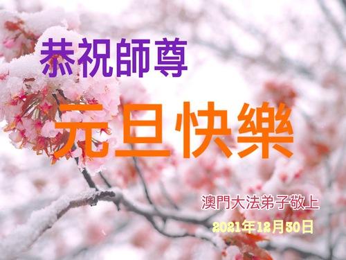 https://en.minghui.org/u/article_images/2021-12-31-2112300748608_01.jpg