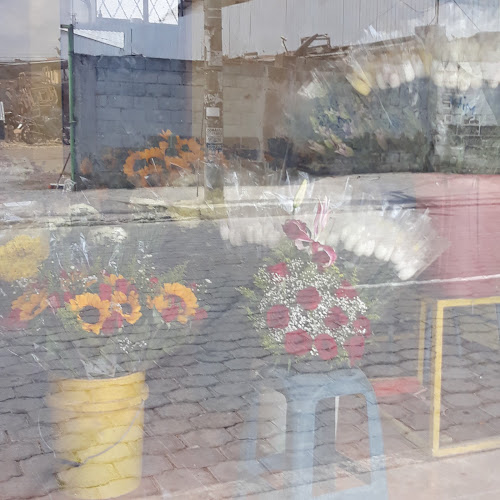 Venta De Flores