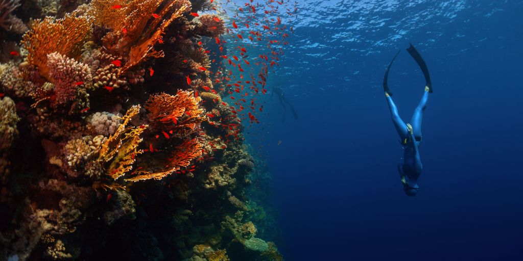 A freediver gliding down underwater_benefits of freediving.