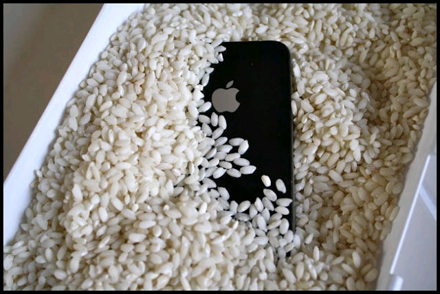 cách cầm điện thoại sao cho cổng kết nối này hướng xuống đấ lam the nao khi iphone 6/ 6s plus roi xuong nuoc