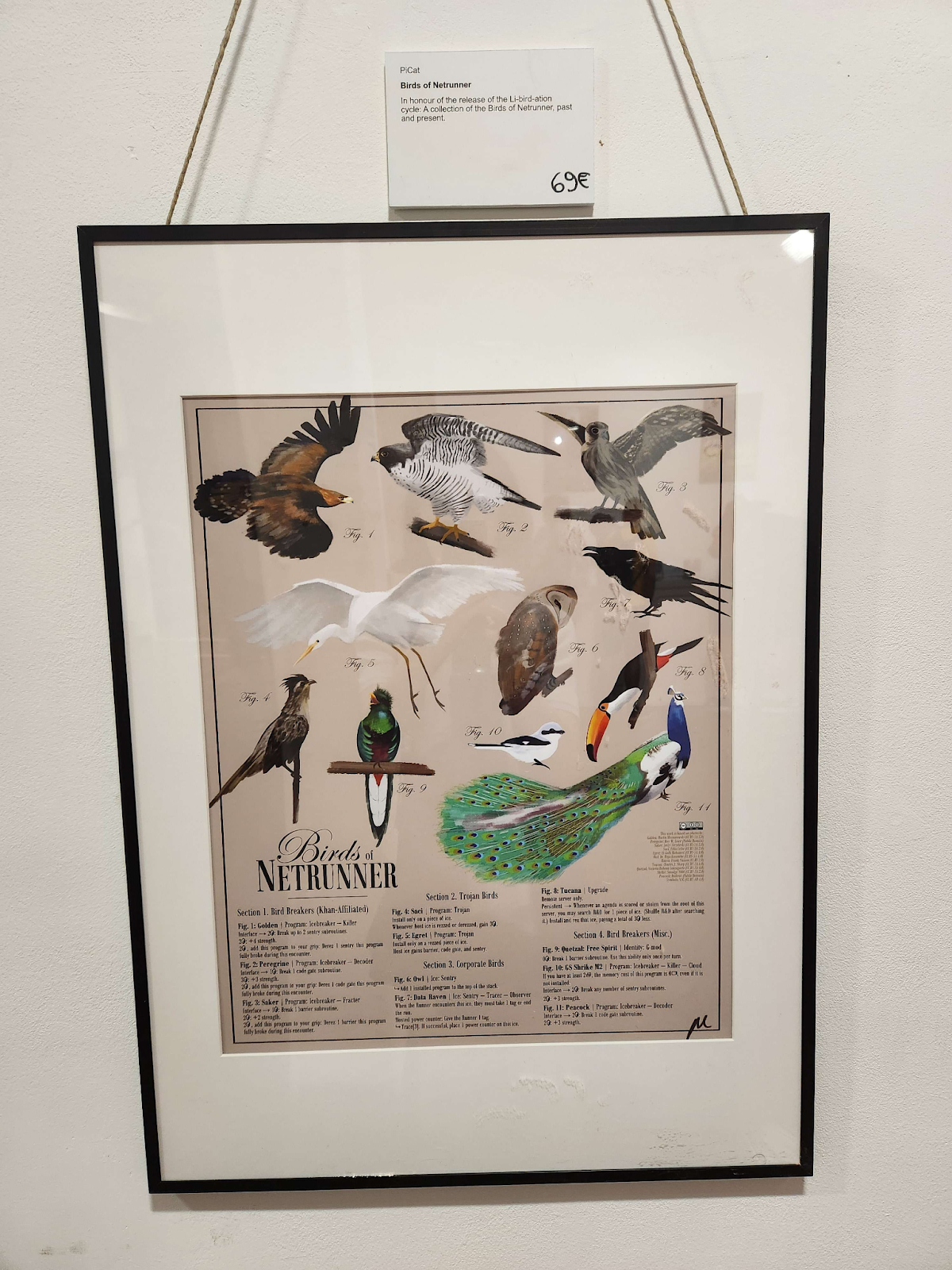 Framed artwork of Birds of Netrunner (PiCat)