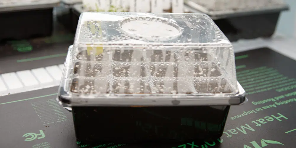 Clean the humidity dome regularly