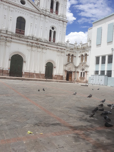 Opiniones de Tienda LOS VECINOS en Cuenca - Tienda