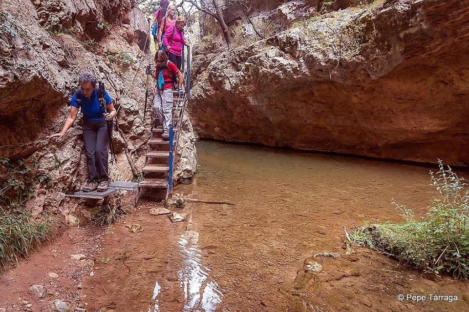 La imagen puede contener: una persona, exterior, agua y naturaleza