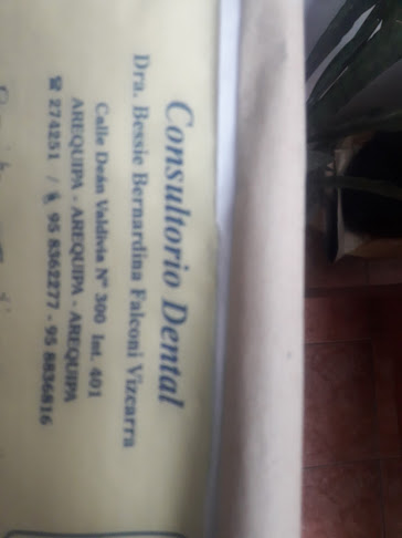 Dra. Bessie Bernardina Falconi Vizcarra - Dentista