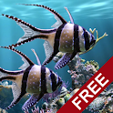 The real aquarium - LWP apk Download