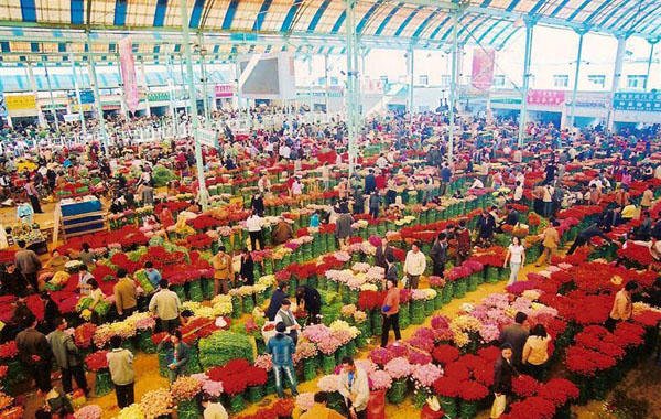 Mua sỉ hoa giả tại chợ hoa Gia Minh