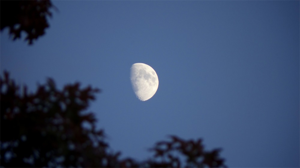 Evening Moon.jpg