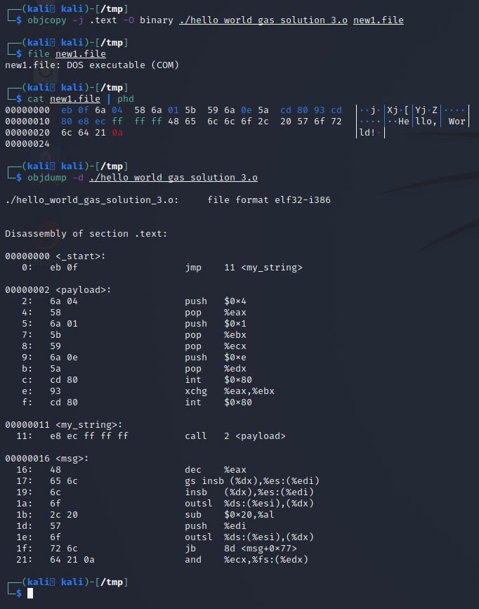 hex and object dump of the copied .text section from the elf binary showing it contains only the payload.