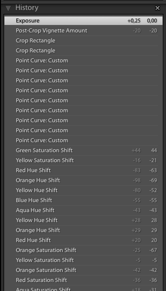 desenvolvimento no Lightroom
