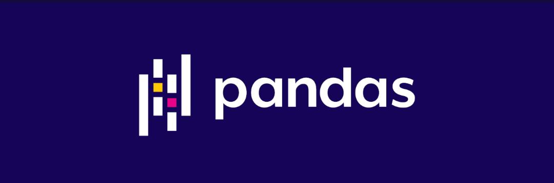Pandas for Excel Python Integration