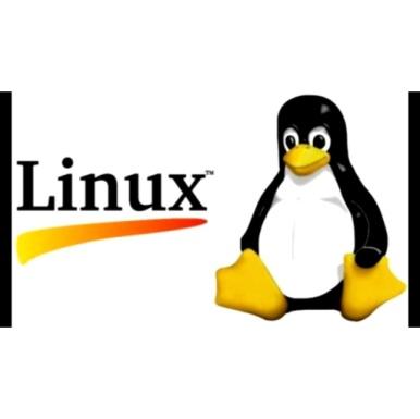 Linus Torvalds anuncia lanzamiento oficial de nueva versión del ...