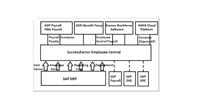 Introduction to SAP SuccessFactors Employee Central | Zarantech