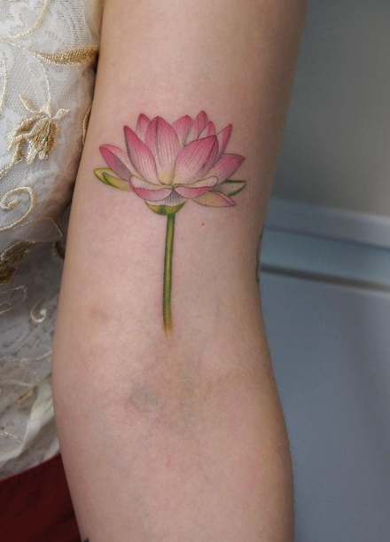 Light Pink Incredible Lotus Flower 