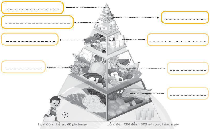 A diagram of a pyramid with food

Description automatically generated