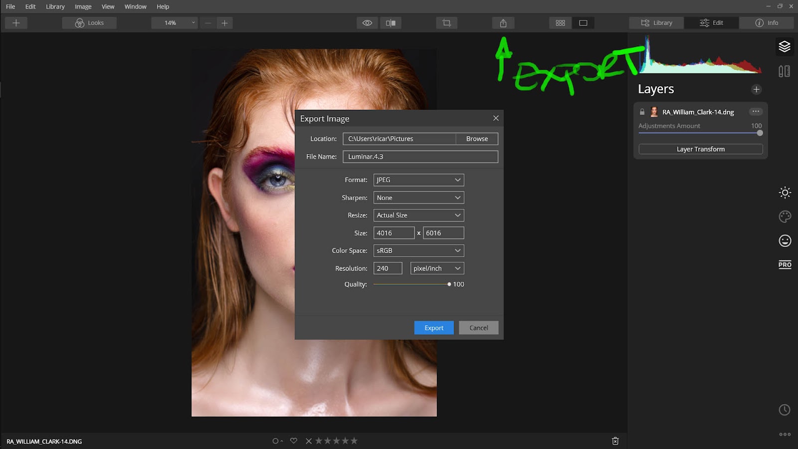 Sinto falta da opção de exportar os arquivos como .DNG, mas acho que, como o Luminar processa as imagens de forma diferente, esse é um recurso que não verei tão cedo, mas a exportação TIF ou PSD já me resolvem sem problemas.