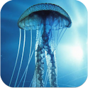 3D Jellyfish HD Live Wallpaper apk Download