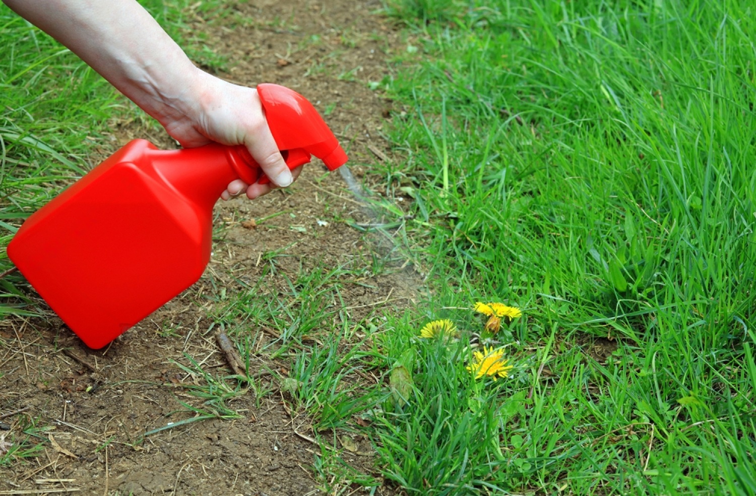 Weed Killer Safe For Pets 5 Od3PJS4K 3i6J57T9seWGBYZUfx938Wq7SSHDolGvSQ1Avs9xM lRxP0xIACkw6vtBDVWvb2 oCg9bwVGeimH1nQ4ZhUNWuVKCOIcAso 4 Axlmo2Hras7KaGuO3Uc EEZU