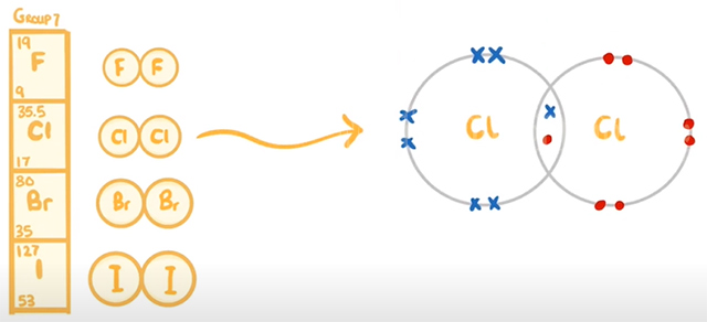 Minh họa các electron trong lớp ngoài cùng của nguyên tố halogen