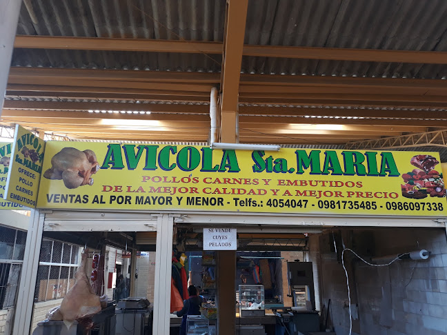 Opiniones de Avicola Sta.Maria en Cuenca - Carnicería