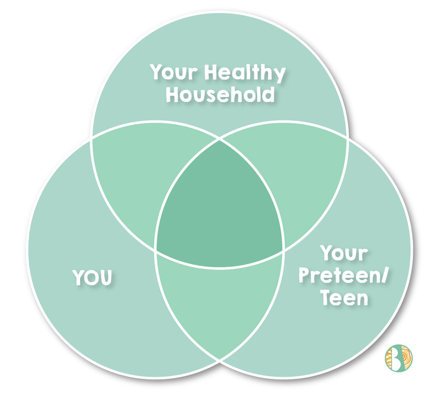 Overlapping circle diagram depicting a healthy household during puberty and mood swings with you and your preteen or teen.