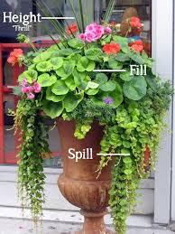3 Ways to Enhance your Floral Arrangement Designs