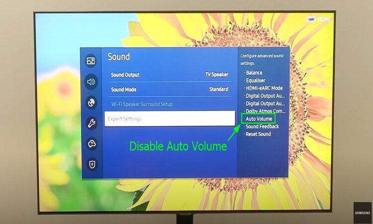 disable automatic volume