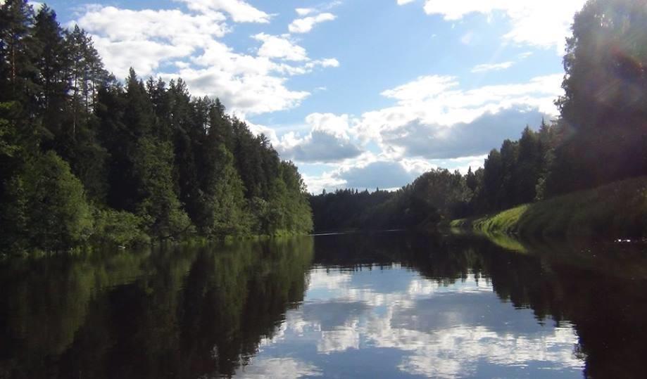 Фото Александра Попова.