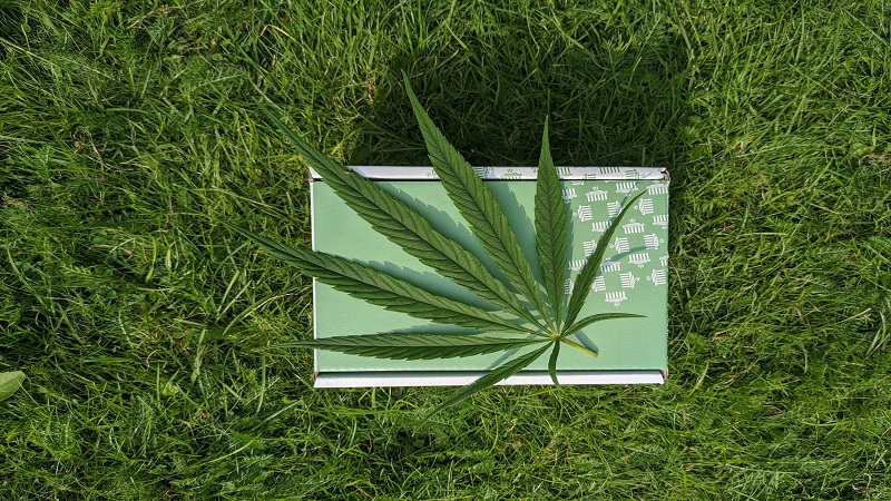 Une feuille cannabis sur une boîte et gazon - CBD INFO