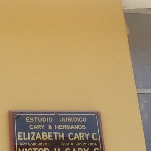 Opiniones de Elizabeth Cary C. en Paucarpata - Abogado