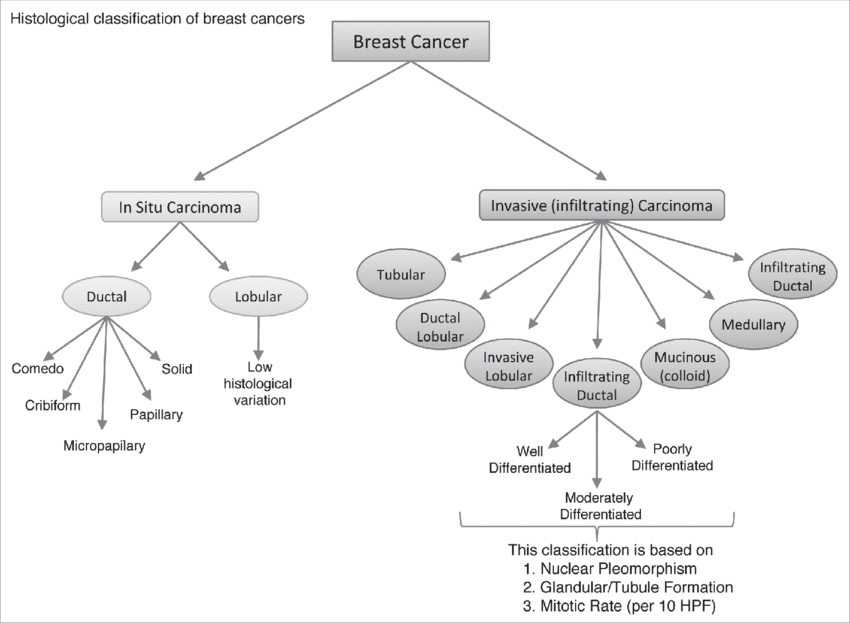 Histological-classification-of-breast-cancer-deep learning projects
