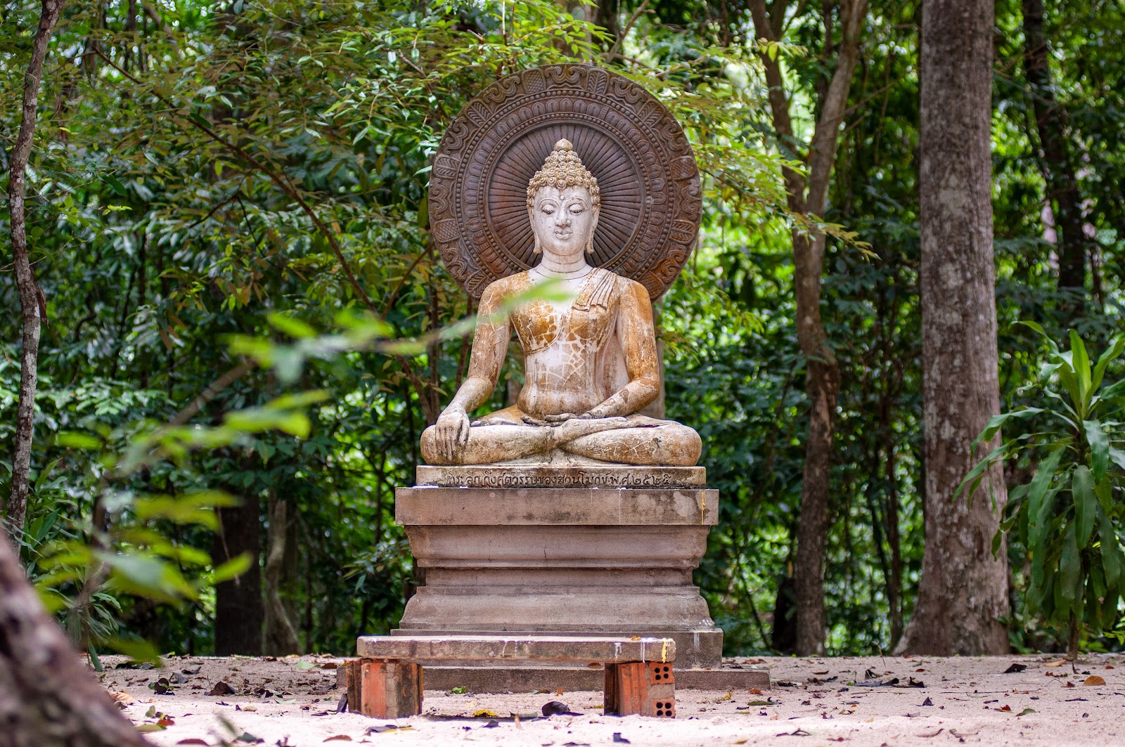 Buddha Statue at Surat Thani | Thailand Insider