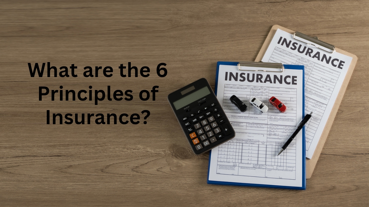 What are the 6 Principles of Insurance 