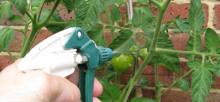 Apply organic sprays