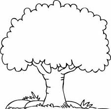 Image result for tree coloring page