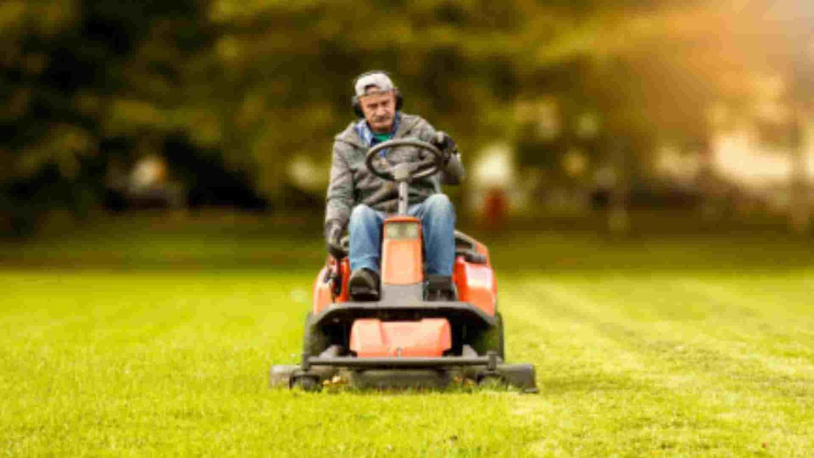 Best Ways to cut grass without a mower