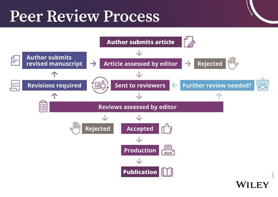 Peer review process diagram