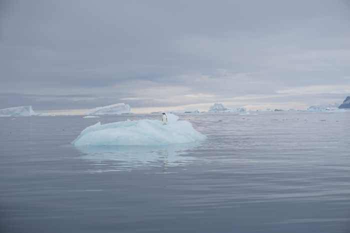 An image of an iceburg in Antarctica
